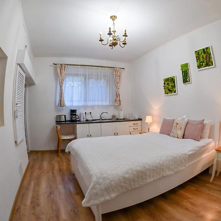 Transilvania Apartment Sibiu Esterno foto