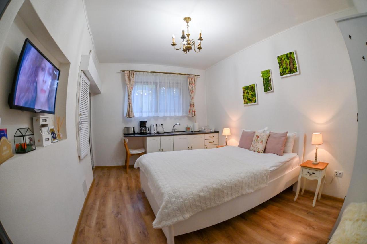 Transilvania Apartment Sibiu Esterno foto